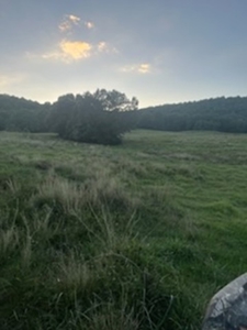 Price Reduced! Quality Ozark Ranch For Sale - image 9