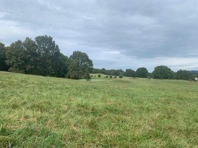 Price Reduced! Quality Ozark Ranch For Sale - image 25