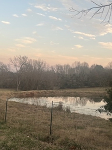 Price Reduced! Quality Ozark Ranch For Sale - image 4