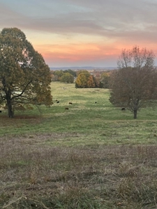 Price Reduced! Quality Ozark Ranch For Sale - image 3