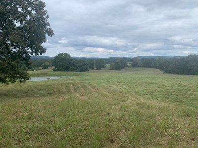 Price Reduced! Quality Ozark Ranch For Sale - image 15