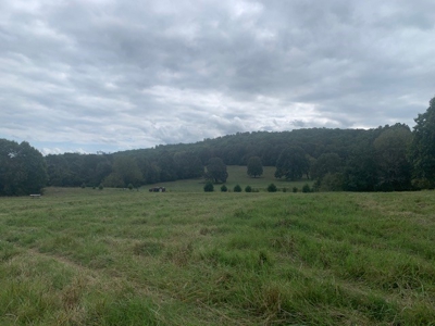 Price Reduced! Quality Ozark Ranch For Sale - image 10