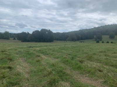 Price Reduced! Quality Ozark Ranch For Sale - image 14