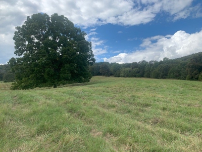 Price Reduced! Quality Ozark Ranch For Sale - image 29