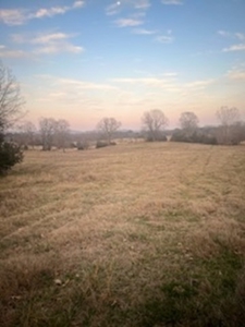 Price Reduced! Quality Ozark Ranch For Sale - image 7