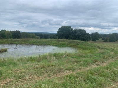 Price Reduced! Quality Ozark Ranch For Sale - image 12