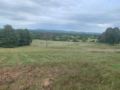 Price Reduced! Quality Ozark Ranch For Sale - image 21