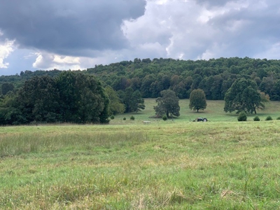 Price Reduced! Quality Ozark Ranch For Sale - image 31
