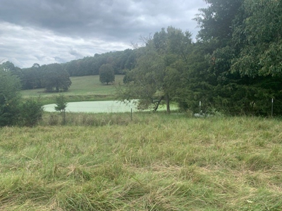 Price Reduced! Quality Ozark Ranch For Sale - image 16