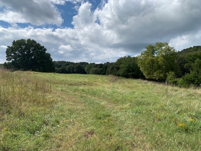 Price Reduced! Quality Ozark Ranch For Sale - image 46
