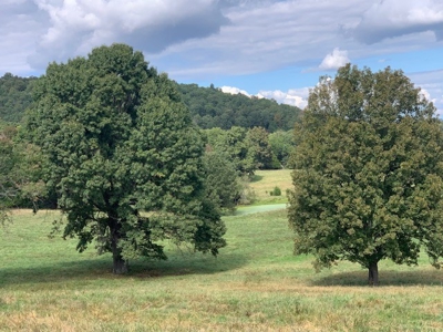 Price Reduced! Quality Ozark Ranch For Sale - image 37