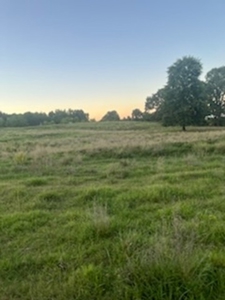 Price Reduced! Quality Ozark Ranch For Sale - image 8