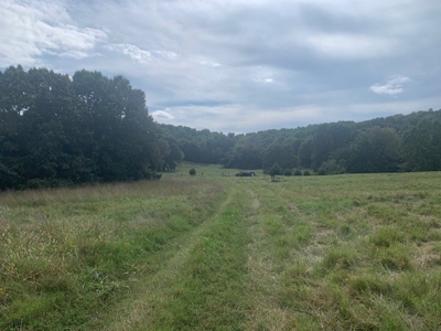 Price Reduced! Quality Ozark Ranch For Sale - image 27