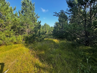 Town of Rome 40 acre timber lot for sale in Adams County WI - image 21