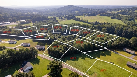 Land Lot for Sale in Alexander County | .68+/- Acres (Lot 9) - image 3
