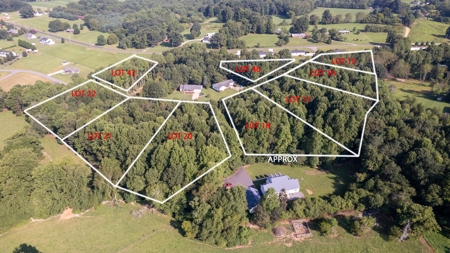 Land Lot for Sale in Alexander County | .68+/- Acres (Lot 9) - image 5