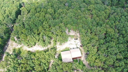 Country Home on 6.11 ± Acres for Sale in Salem, MO - image 5