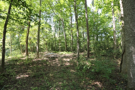 Cumberland Riverfront home for sale in Somerset Kentucky - image 32