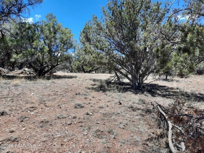 Off grid Northern AZ  Mountain Property - image 7