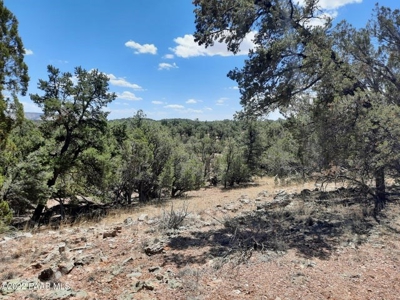 Off grid Northern AZ  Mountain Property - image 5