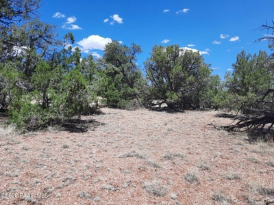 Off grid Northern AZ  Mountain Property - image 6