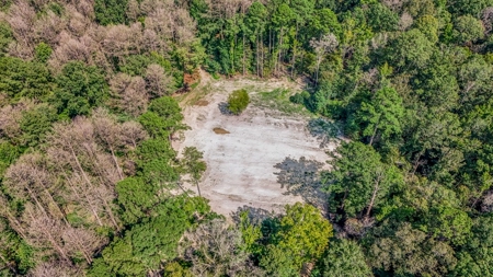 Wilkinson County Hunting Land Adjoining National Forest - image 22
