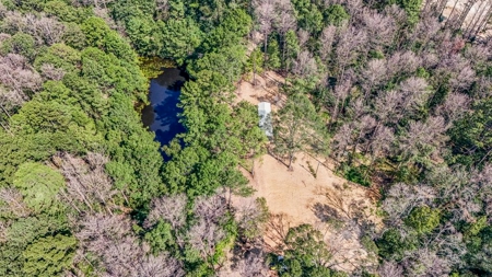 Wilkinson County Hunting Land Adjoining National Forest - image 2