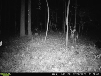 Wilkinson County Hunting Land Adjoining National Forest - image 30