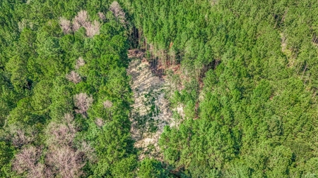 Wilkinson County Hunting Land Adjoining National Forest - image 24