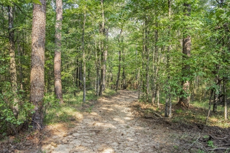 Wilkinson County Hunting Land Adjoining National Forest - image 15
