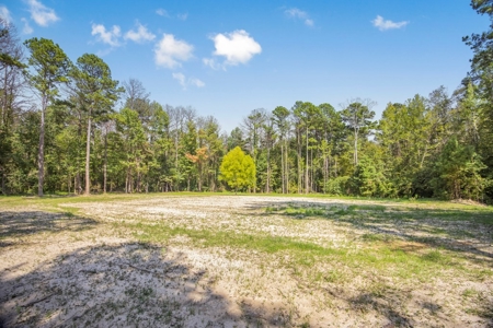 Wilkinson County Hunting Land Adjoining National Forest - image 9