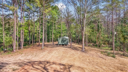 Wilkinson County Hunting Land Adjoining National Forest - image 18