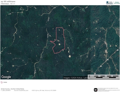 Wilkinson County Hunting Land Adjoining National Forest - image 38