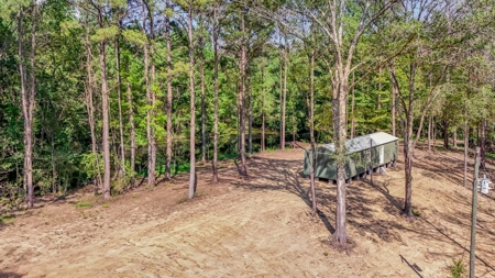 Wilkinson County Hunting Land Adjoining National Forest - image 20