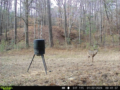 Wilkinson County Hunting Land Adjoining National Forest - image 28