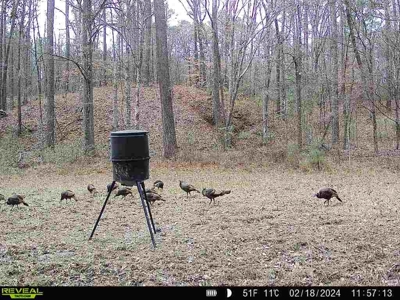 Wilkinson County Hunting Land Adjoining National Forest - image 33