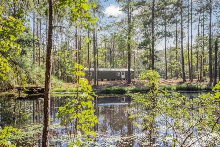 Wilkinson County Hunting Land Adjoining National Forest - image 1