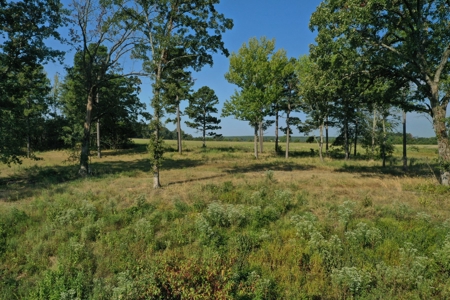 120+/- Cattle Ground Acres For Sale near Shirley, AR - image 12