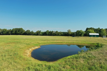 120+/- Cattle Ground Acres For Sale near Shirley, AR - image 7