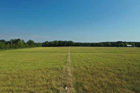 120+/- Cattle Ground Acres For Sale near Shirley, AR - image 5