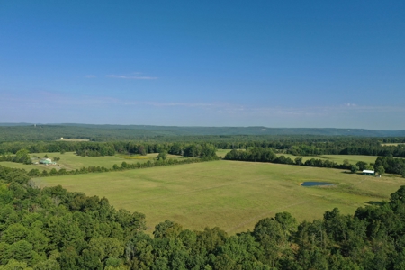 120+/- Cattle Ground Acres For Sale near Shirley, AR - image 4