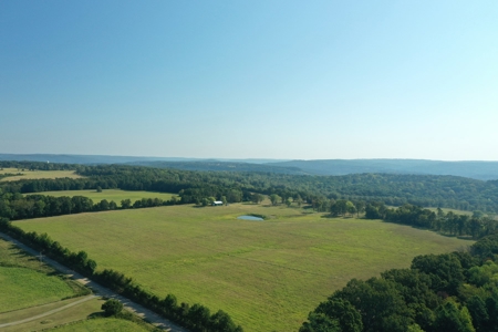 120+/- Cattle Ground Acres For Sale near Shirley, AR - image 6