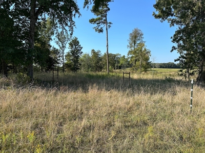 120+/- Cattle Ground Acres For Sale near Shirley, AR - image 31
