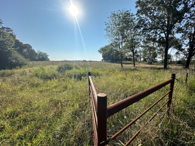 120+/- Cattle Ground Acres For Sale near Shirley, AR - image 39