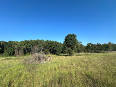 120+/- Cattle Ground Acres For Sale near Shirley, AR - image 26