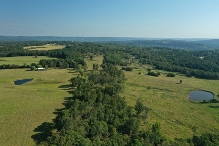 120+/- Cattle Ground Acres For Sale near Shirley, AR - image 3