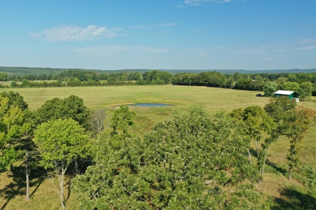 120+/- Cattle Ground Acres For Sale near Shirley, AR - image 14