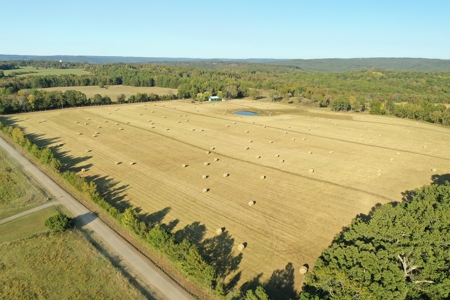 120+/- Cattle Ground Acres For Sale near Shirley, AR - image 47