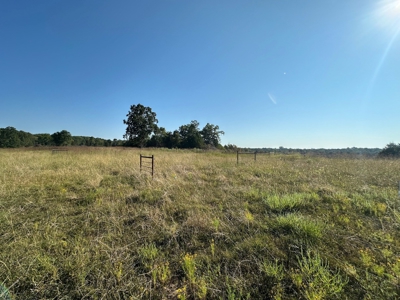 120+/- Cattle Ground Acres For Sale near Shirley, AR - image 28