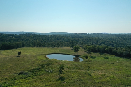 120+/- Cattle Ground Acres For Sale near Shirley, AR - image 13